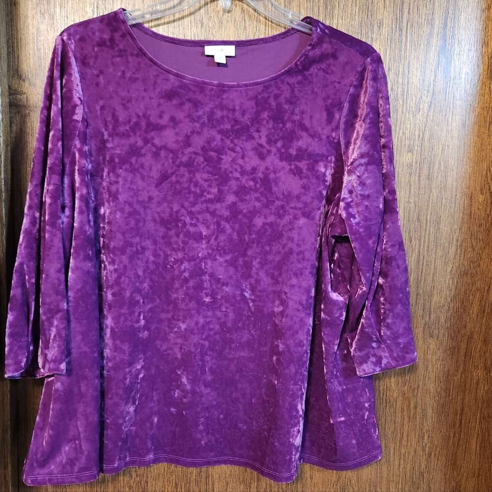 J JILL Purple Velvet 3/4 Length Sleeve Top